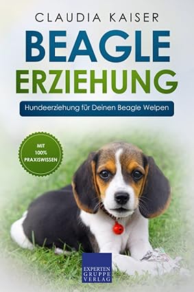 Beagle Erziehung