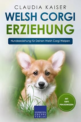 Welsh Corgi Erziehung