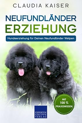 Neufundländer Erziehung