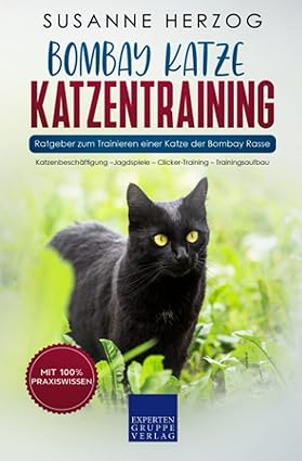 Bombay Katze Katzentraining - Ratgeber zum Trainieren einer Katze der Bombay Rasse: Katzenbeschäftig
