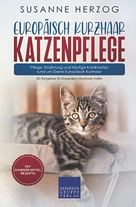 Europäisch Kurzhaar Katzenpflege – Pflege, Ernährung und häufige Krankheiten rund um Deine Europäisc