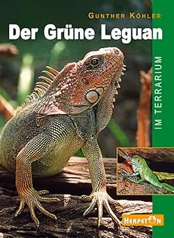 Der Grüne Leguan im Terrarium
