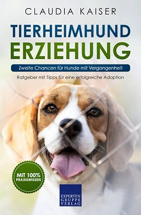 Tierheimhund Erziehung - Zweite Chancen für Hunde mit Vergangenheit