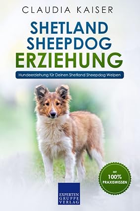 Shetland Sheepdog Erziehung