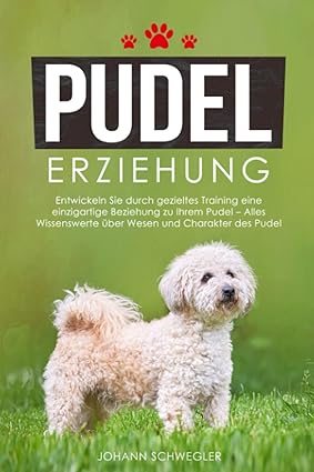 Pudel Erziehung