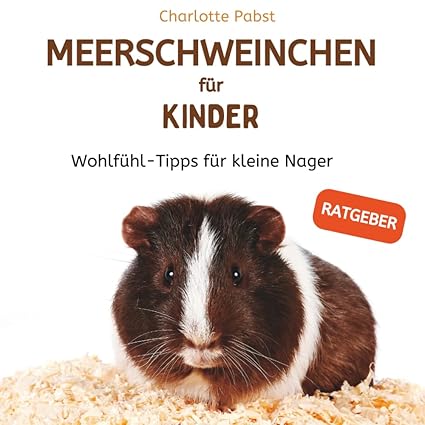 Meerschweinchen für Kinder, Wohlfühl-Tipps für kleine Nager