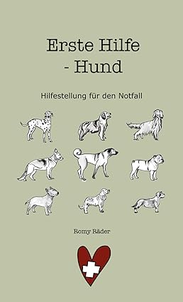 Erste Hilfe am Hund: Hilfestellung für den Notfall