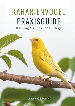 Kanarienvogel Praxisguide: Haltung & Glückliche Pflege